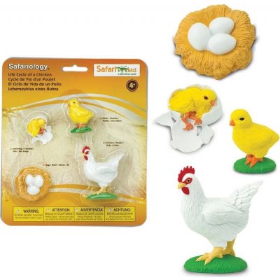 Safari Ltd. životní cyklus Slepice – Sleviste.cz