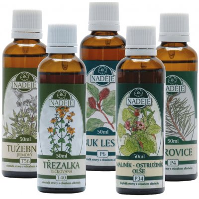 Naděje Doplněk z bylin jako pomoc pro podporu kloubů NK25 250 ml – Hledejceny.cz