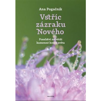 Vstříc zázraku nového - Ana Pogačnik