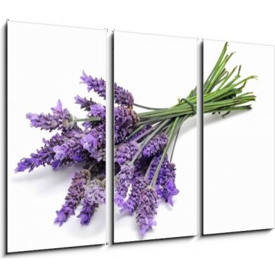 Obraz 3D třídílný - 105 x 70 cm - lavender levandule – Zbozi.Blesk.cz
