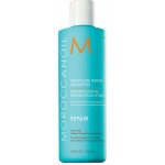 Moroccanoil Moisture Repair Shampoo 250 ml – Zboží Mobilmania