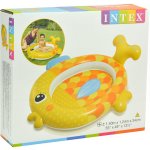 Intex 57111 Zlatá rybka 140 x 124 x 34 cm – HobbyKompas.cz