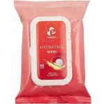 EasyGlide Hydrating Wipes 25 ks – Hledejceny.cz