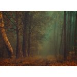 Pohlednice Smaragdová vize – Zboží Mobilmania