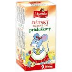 Apotheke průduškový 20 x 1,5 g – Zboží Dáma