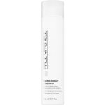 Paul Mitchell Invisiblewear Conditioner 300 ml – Hledejceny.cz