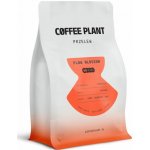 COFFEE PLANT Flow Mellow Decaf zrnková 250 g – Hledejceny.cz