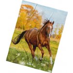 TipTrade Mikroplyšová deka Kůň Ryzák na louce 150x200 – Hledejceny.cz