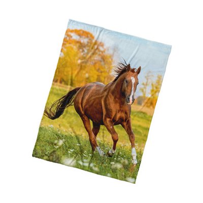 TipTrade Mikroplyšová deka Kůň Ryzák na louce 150x200 – Hledejceny.cz
