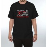 Dárkoviny pánské tričko Trvalo mi 30 let – Zbozi.Blesk.cz