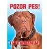 Autovýbava Grel Tabulka pozor pes bordeauxská doga