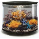 Biorb Tube černé MCR 35 l – Zboží Dáma