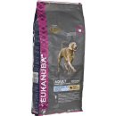 Krmivo pro psa Eukanuba Adult Large Breed Lamb 12 kg