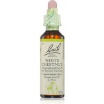 Bachovy květové esence Kaštan bílý White Chestnut 20 ml – Hledejceny.cz