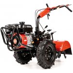 Hahn & Sohn Cedrus CEDRUSGLX640 – Zboží Dáma