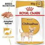 Royal Canin Adult Chihuahua 12 x 85 g – Zboží Mobilmania