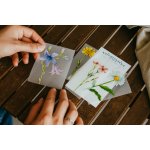 ePiPí Výhodná sada nažehlovaček Květiny – Zboží Dáma