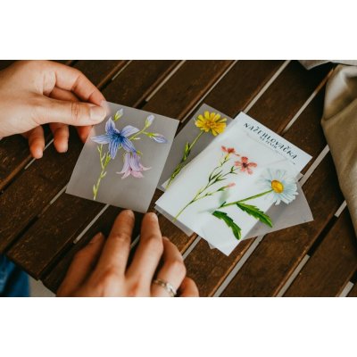 ePiPí Výhodná sada nažehlovaček Květiny – Zboží Dáma