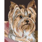 MALUJEŠ Malování podle čísel JORKŠÍRKA Rozměr 40 x 50 cm Rámování bez rámu a bez vypnutí plátna – Sleviste.cz