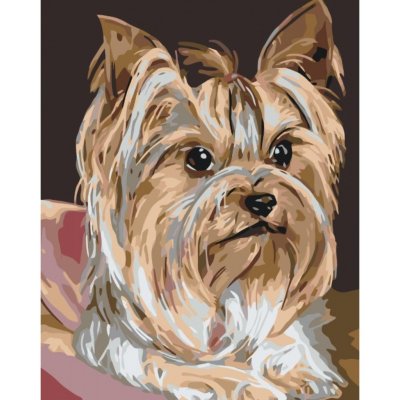 MALUJEŠ Malování podle čísel JORKŠÍRKA Rozměr 40 x 50 cm Rámování bez rámu a bez vypnutí plátna – Sleviste.cz