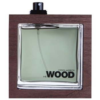 Dsquared2 He Wood Rocky Mountain Wood toaletní voda pánská 100 ml tester