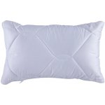 Stanex Prošívaný polštář s Aloe Vera 30x45 – Hledejceny.cz