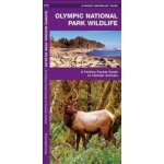 Olympic National Park Wildlife – Hledejceny.cz