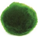 Aegagropila linnaei – Sleviste.cz