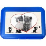 Tvar box svačinový dětský dekor plast – Zboží Dáma