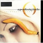 Perfect Circle - Thirteenth Step LP – Hledejceny.cz