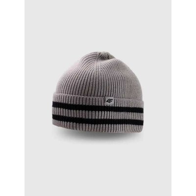 4F Pánská zimní čepice 4FWAW26ACAPM0835 Grey – Hledejceny.cz