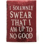 Cure Pink poznámkový blok Harry Potter: The Marauders Map A5 14,8 x 21 cm SR72325 – Zboží Dáma