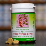 TCM Herbs Utišení větrné bouře 100 tablet – Hledejceny.cz