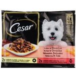 Cesar Selection v omáčce 4 x 100 g – Zbozi.Blesk.cz