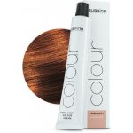 Subrina Permanent Color 6,75 100 ml – Zboží Dáma