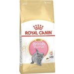 Royal Canin FBN Kitten British Shorthair 2 kg – Hledejceny.cz