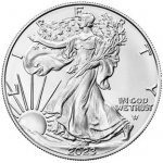 The United States Mint American Eagle stříbrná mince 1 Oz – Zboží Dáma