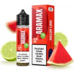 Aramax Shake & Vape Melon Lime 10 ml – Hledejceny.cz