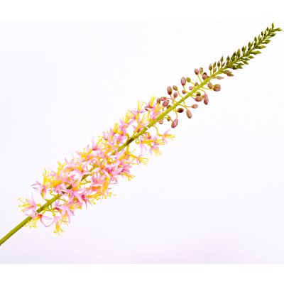Umělé květina, Liliochvostec eremurus stonek růžový 104 cm