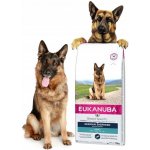 Eukanuba Dermatosis 12 kg – Zboží Dáma