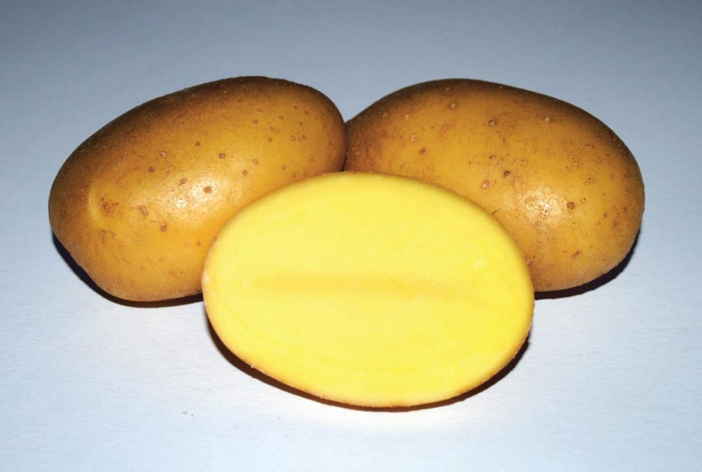Sadbové brambory 25 kg