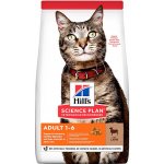 Hill’s Feline Adult Lamb & Rice 1,5 kg – Hledejceny.cz