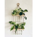 WoodenBotanery BotaneryLab™ PROPAGO: Závěsný dřevěný stojan na zakořenění rostlin – Hledejceny.cz