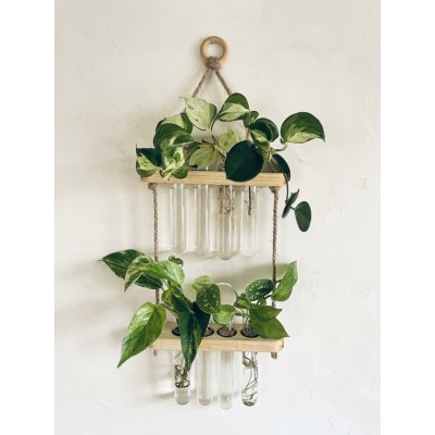 WoodenBotanery BotaneryLab™ PROPAGO: Závěsný dřevěný stojan na zakořenění rostlin – Hledejceny.cz