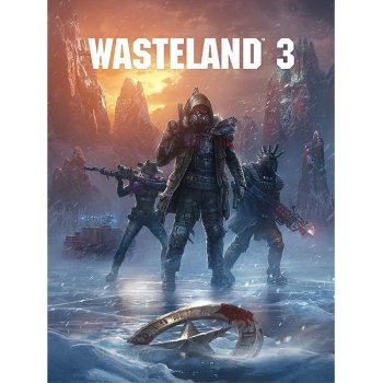 Wasteland 3