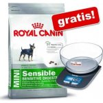 Royal Canin Maxi Ageing 8+ 15 kg – Zbozi.Blesk.cz