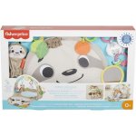 Fisher Price Hrací dečka s lenochodem – Hledejceny.cz