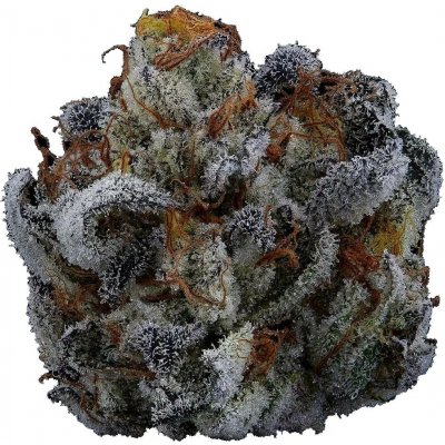 Highbreed Seeds Gary Rainbow Road Auto semena neobsahují THC 2 ks – Sleviste.cz