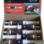 Horse Master Pro L Carnitine 60 ml – Hledejceny.cz