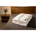 Termop Peřová přikrývka Premium 140x200 – Zboží Dáma